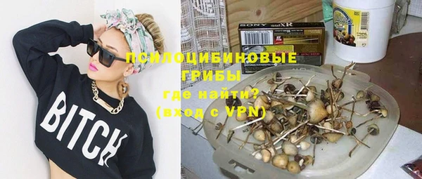 ГАЛЛЮЦИНОГЕННЫЕ ГРИБЫ Абаза